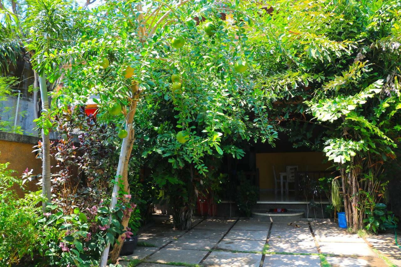 Rumah Wayans Lipah Amed Kültér fotó